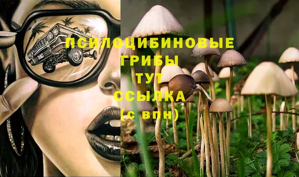 сатива Краснотурьинск