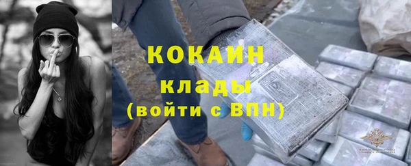 сатива Краснотурьинск
