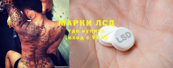 дживик Краснослободск
