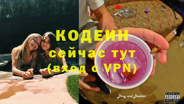 дживик Краснослободск