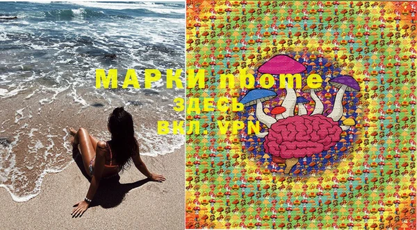 крисы Куйбышев