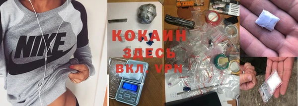 дживик Краснослободск