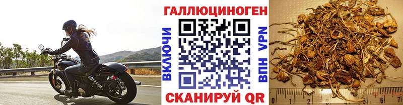 Псилоцибиновые грибы GOLDEN TEACHER купить наркотик Сураж